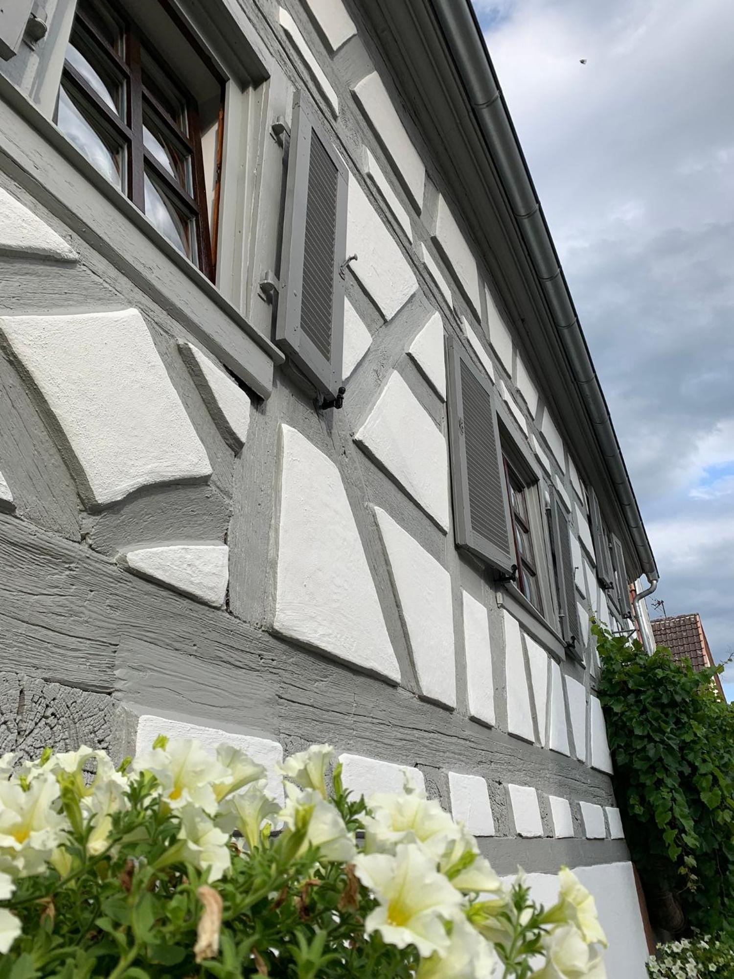 Ferienwohnung Sambachhaus Gleiszellen-Gleishorbach Exterior photo